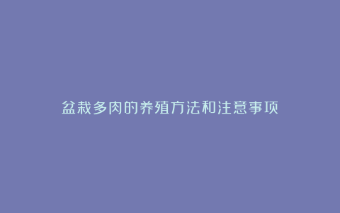 盆栽多肉的养殖方法和注意事项