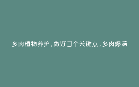 多肉植物养护，做好3个关键点，多肉爆满盆