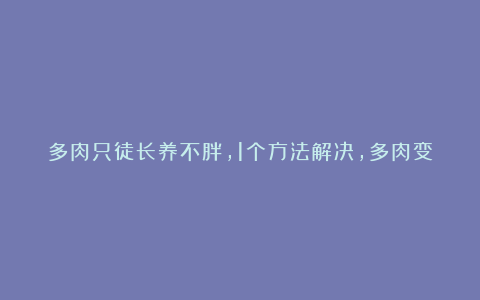 多肉只徒长养不胖，1个方法解决，多肉变得肉嘟嘟，又萌又可爱