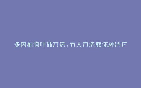 多肉植物叶插方法，五大方法教你种活它