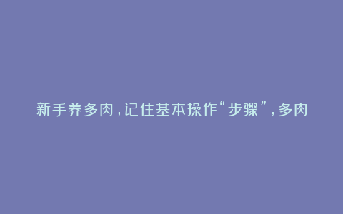 新手养多肉，记住基本操作“步骤”，多肉长势旺，越养越漂亮