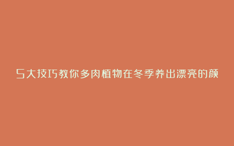 5大技巧教你多肉植物在冬季养出漂亮的颜色