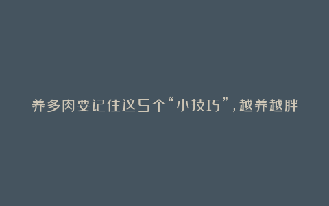 养多肉要记住这5个“小技巧”，越养越胖，撑破盆！