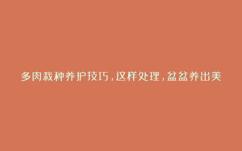 多肉栽种养护技巧，这样处理，盆盆养出美状态，烂根化水不再来