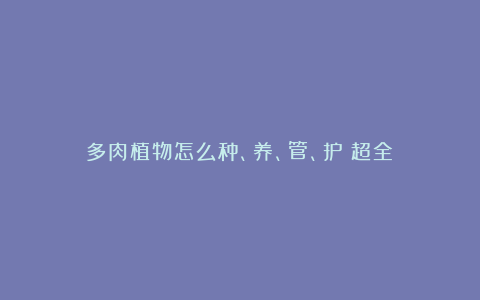 多肉植物怎么种、养、管、护（超全）