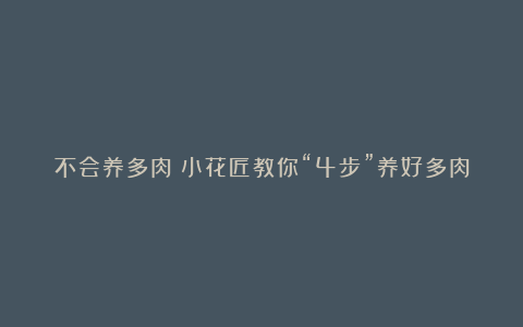 不会养多肉？小花匠教你“4步”养好多肉，简单实用易上手