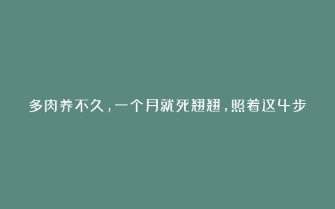 多肉养不久，一个月就死翘翘，照着这4步养，放在哪都肥嘟嘟