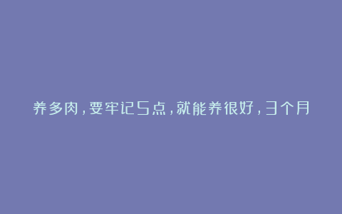 养多肉，要牢记5点，就能养很好，3个月后大变样，越养越美！