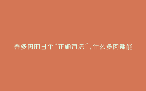 养多肉的3个“正确方法”，什么多肉都能养好，又美又壮，颜值高