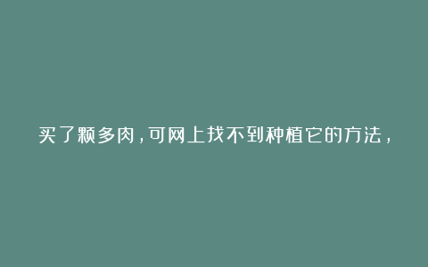 买了颗多肉，可网上找不到种植它的方法，怎么养？