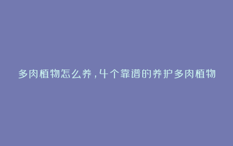 多肉植物怎么养，4个靠谱的养护多肉植物的小技巧和注意事项