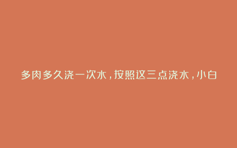 多肉多久浇一次水，按照这三点浇水，小白也能养好多肉