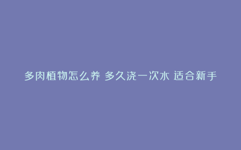 多肉植物怎么养？多久浇一次水？适合新手入手的多肉有哪些？