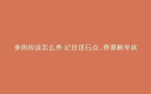 多肉应该怎么养？记住这6点，春夏秋冬状态都很赞，越长越胖！