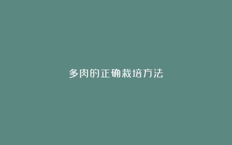 多肉的正确栽培方法