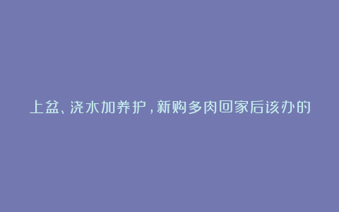 上盆、浇水加养护，新购多肉回家后该办的事（详解）