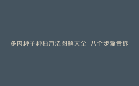 多肉种子种植方法图解大全 八个步骤告诉你养好植物