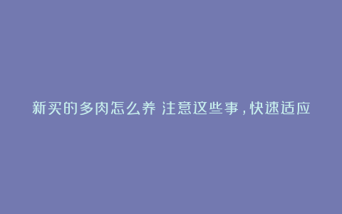 新买的多肉怎么养？注意这些事，快速适应新环境，后期养护更简单