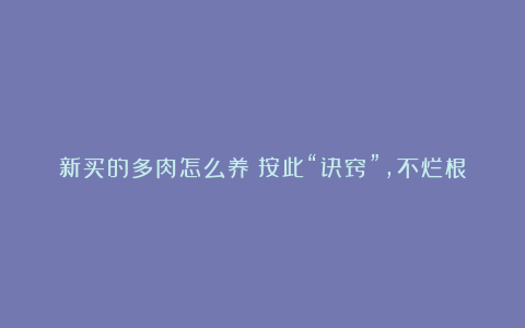 新买的多肉怎么养？按此“诀窍”，不烂根不化水，盆盆养出美状态