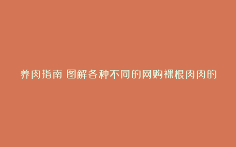 养肉指南：图解各种不同的网购裸根肉肉的上盆方法