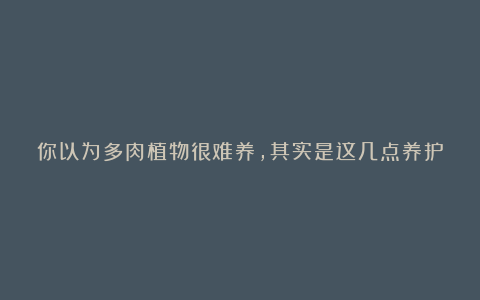 你以为多肉植物很难养，其实是这几点养护技巧没有捋清楚