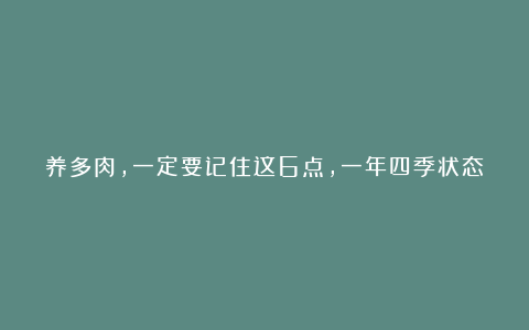 养多肉，一定要记住这6点，一年四季状态都赞，叶肥枝壮成老桩