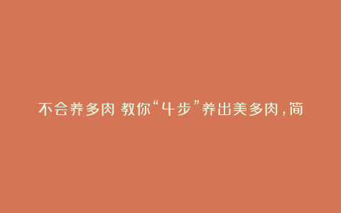 不会养多肉？教你“4步”养出美多肉，简单实用，你也能学会