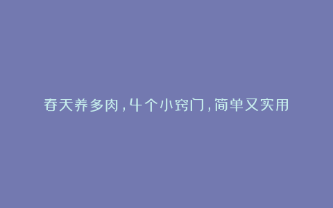 春天养多肉，4个小窍门，简单又实用！