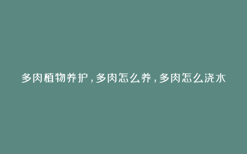 多肉植物养护，多肉怎么养，多肉怎么浇水