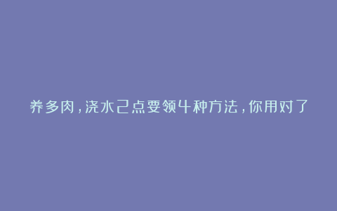 养多肉，浇水2点要领4种方法，你用对了吗