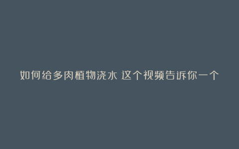 如何给多肉植物浇水？这个视频告诉你一个简单又有效的方法！