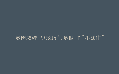 多肉栽种“小技巧”，多做1个“小动作”，不易烂根，服盆更快