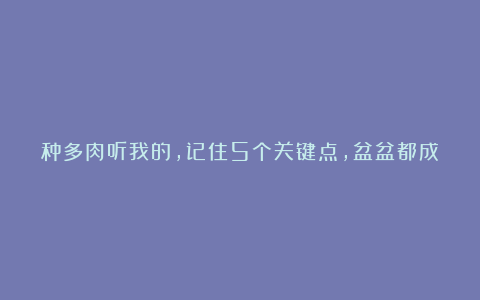 种多肉听我的，记住5个关键点，盆盆都成活，个个胖嘟嘟