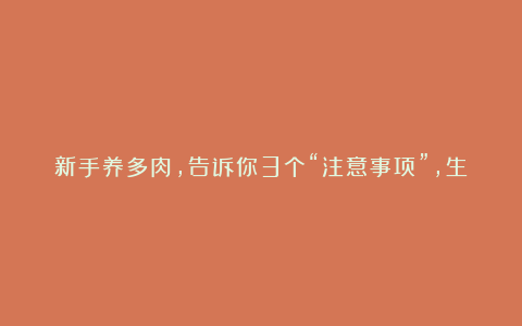 新手养多肉，告诉你3个“注意事项”，生长快速，养出状态很容易