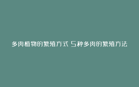 多肉植物的繁殖方式：5种多肉的繁殖方法,养护及注意事项