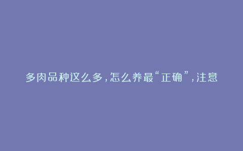 多肉品种这么多，怎么养最“正确”，注意这几点，轻松就养好