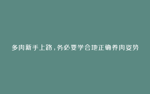 多肉新手上路，务必要学会地正确养肉姿势