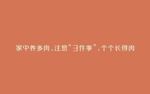 家中养多肉，注意“3件事”，个个长得肉嘟嘟，状态美极了