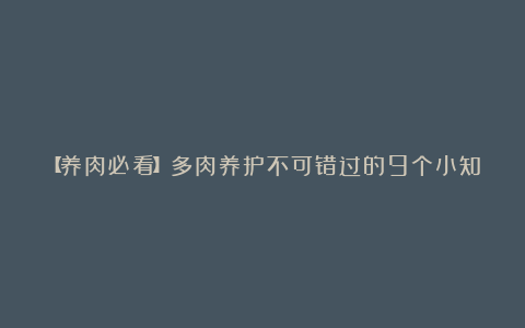 【养肉必看】多肉养护不可错过的9个小知识