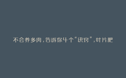 不会养多肉，告诉你4个“诀窍”，叶片肥嘟嘟，状态美美哒