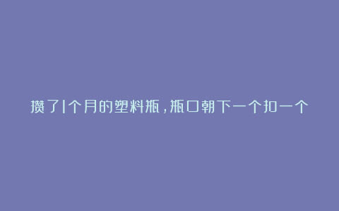 攒了1个月的塑料瓶，瓶口朝下一个扣一个，用来扦插多肉，生根快