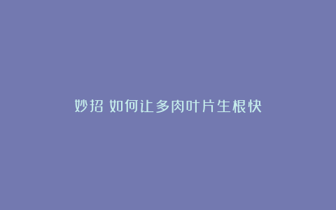 妙招：如何让多肉叶片生根快？