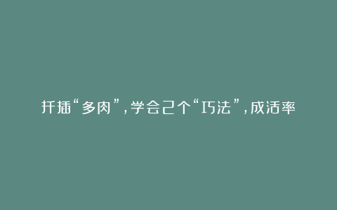 扦插“多肉”，学会2个“巧法”，成活率高，生根、发芽快1倍！