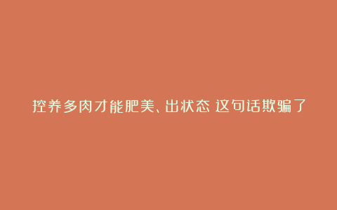 控养多肉才能肥美、出状态？这句话欺骗了太多人，难怪总是收空盆