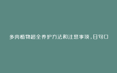 多肉植物超全养护方法和注意事项，8句口诀一网打尽，快收藏