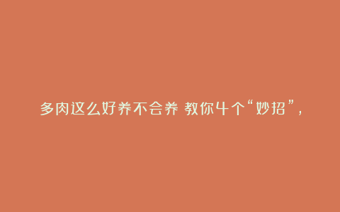 多肉这么好养不会养？教你4个“妙招”，简单实用超好养