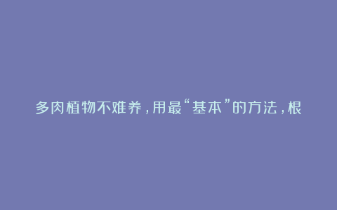 多肉植物不难养，用最“基本”的方法，根壮叶肥，状态更美