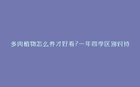 多肉植物怎么养才好看?一年四季区别对待，多肉变美不意外，新手必看