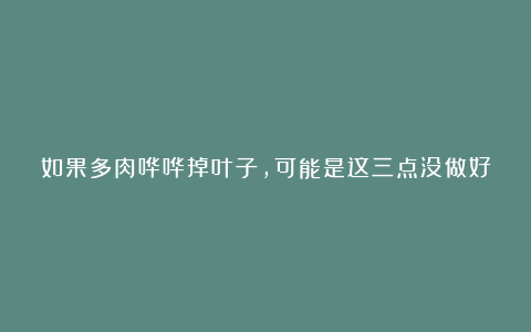 如果多肉哗哗掉叶子，可能是这三点没做好，要及时调整