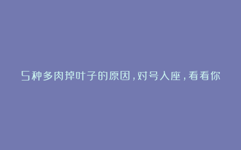 5种多肉掉叶子的原因，对号入座，看看你家肉肉是哪一种？